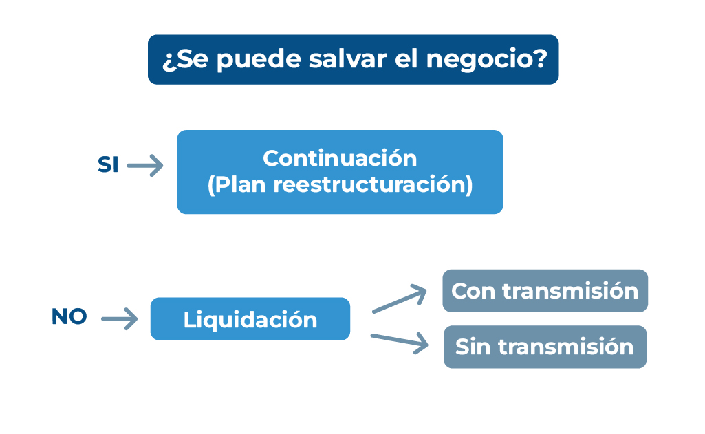 Opciones del procedimiento especial: continuación o liquidación para microempresas